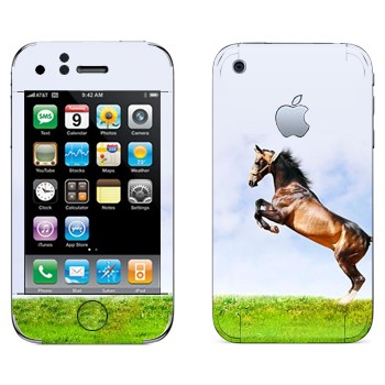   «    »   Apple iPhone 3G