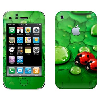   «   »   Apple iPhone 3GS