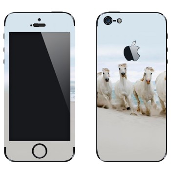 Виниловая наклейка «Белые лошади на пляже» на телефон Apple iPhone 5