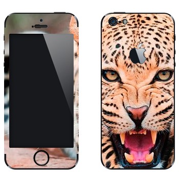 Виниловая наклейка «Рычащий леопард» на телефон Apple iPhone 5