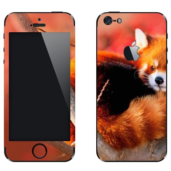 Виниловая наклейка «Малая панда» на телефон Apple iPhone 5