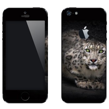 Виниловая наклейка «Снежный барс» на телефон Apple iPhone 5