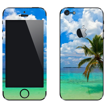 Виниловая наклейка «Побережье Майами» на телефон Apple iPhone 5