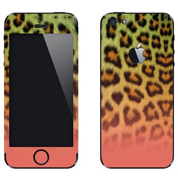 Виниловая наклейка «Шкура леопарда зелено-розовая» на телефон Apple iPhone 5