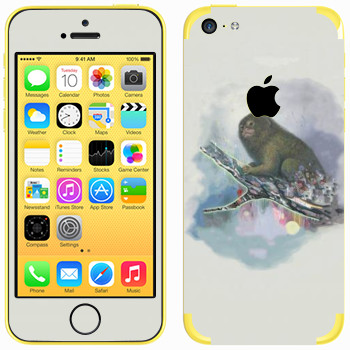   «   - Kisung»   Apple iPhone 5C