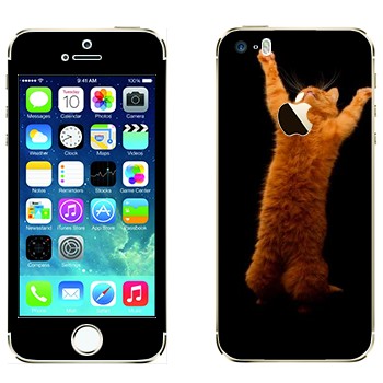   «     »   Apple iPhone 5S