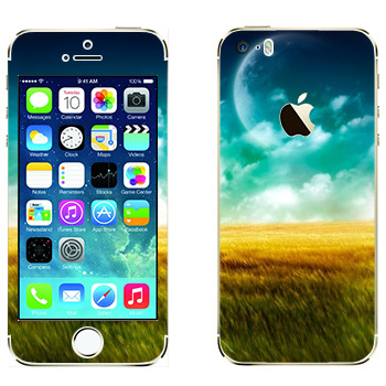   «,   »   Apple iPhone 5S