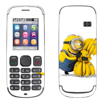   «  »   Nokia 100, 101