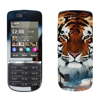   « »   Nokia 300 Asha