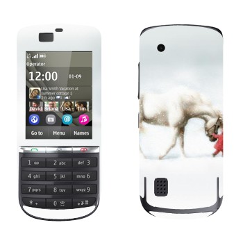   «   »   Nokia 300 Asha