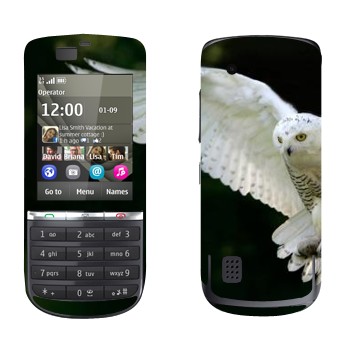 Nokia 300 Asha