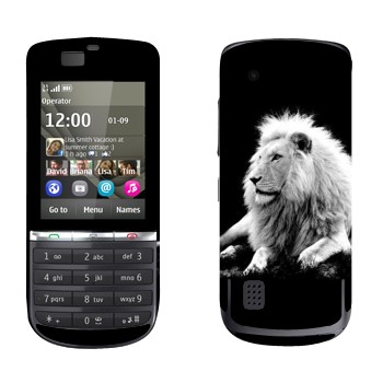 Nokia 300 Asha