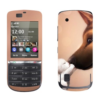   «   »   Nokia 300 Asha