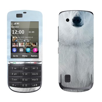 Nokia 300 Asha