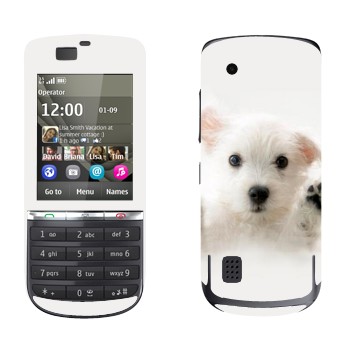   « »   Nokia 300 Asha