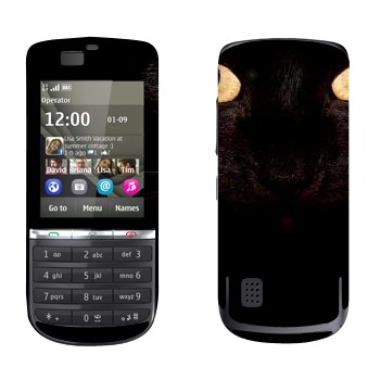   « »   Nokia 300 Asha