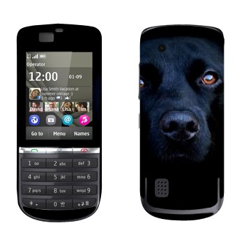   « »   Nokia 300 Asha