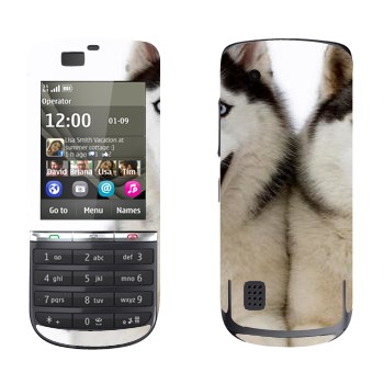   « »   Nokia 300 Asha