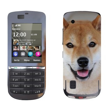   «- »   Nokia 300 Asha