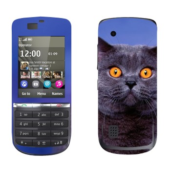 Nokia 300 Asha