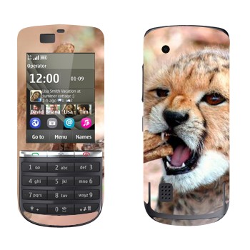   « »   Nokia 300 Asha