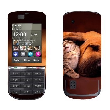   «  »   Nokia 300 Asha