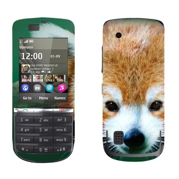   « »   Nokia 300 Asha