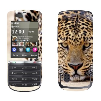 Nokia 300 Asha