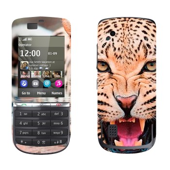 Nokia 300 Asha