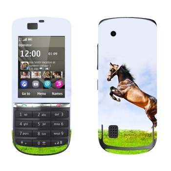   «    »   Nokia 300 Asha