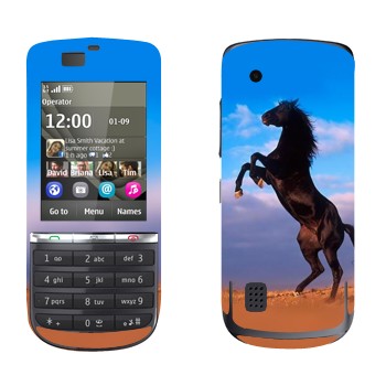   «  »   Nokia 300 Asha