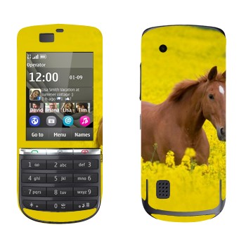   «  »   Nokia 300 Asha