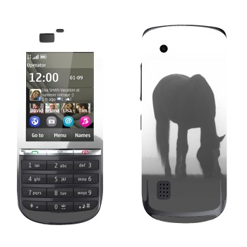   «  »   Nokia 300 Asha