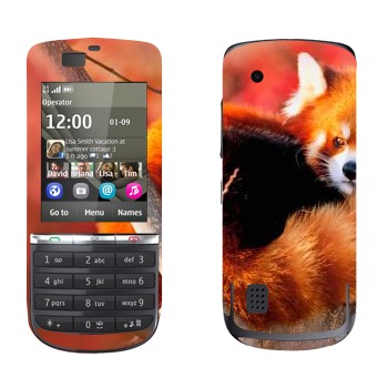 Nokia 300 Asha