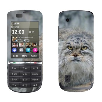   «»   Nokia 300 Asha