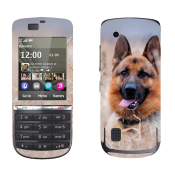   «  »   Nokia 300 Asha