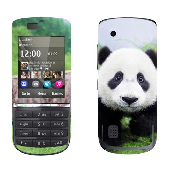   «  »   Nokia 300 Asha