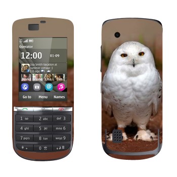   « »   Nokia 300 Asha