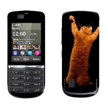   «     »   Nokia 300 Asha