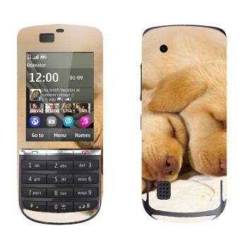   « »   Nokia 300 Asha