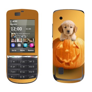 Nokia 300 Asha