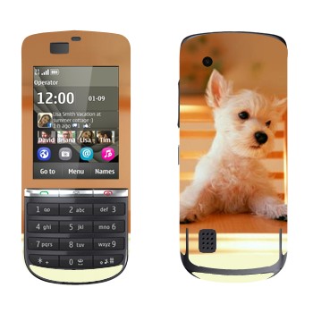   «  »   Nokia 300 Asha