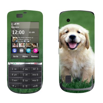   «  »   Nokia 300 Asha