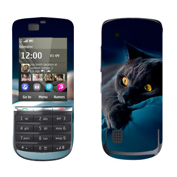   « »   Nokia 300 Asha