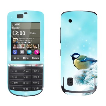   «  »   Nokia 300 Asha