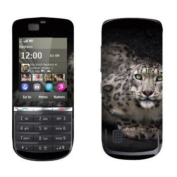 Nokia 300 Asha