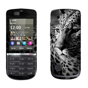 Nokia 300 Asha