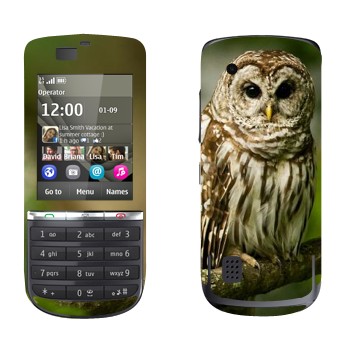 Nokia 300 Asha