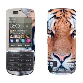 Nokia 300 Asha