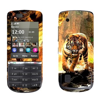 Nokia 300 Asha